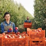 Bookkeeping for Farms Australia