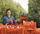 Bookkeeping for Farms Australia 2